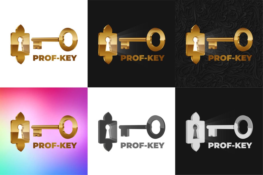 Третья версия концепта логотипа Prof-Key